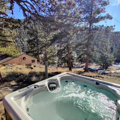 The Rose Den - Romantic Mountain Cabin with Views!